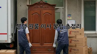 분당 원룸 이사, 꿀팁 총정리!
