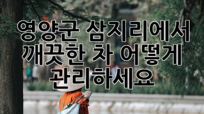 영양군 삼지리에서 깨끗한 차, 어떻게 관리하세요?