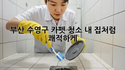 부산 수영구 카펫 청소✨! 내 집처럼 🏡 쾌적하게!